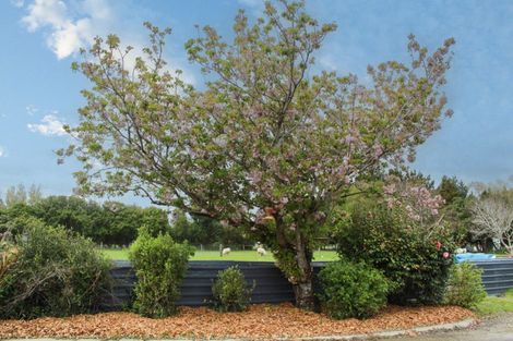 Photo of property in 143 Wallacetown Lorneville Highway, Lorneville, Invercargill, 9874