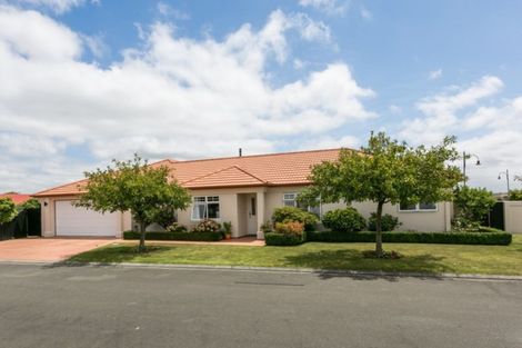 Photo of property in 41 Palmbrook Avenue, Havelock North, 4130