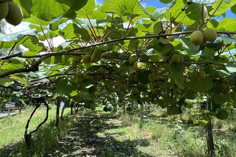 Photo of property in 123 Wiroa Road, Kerikeri, 0293