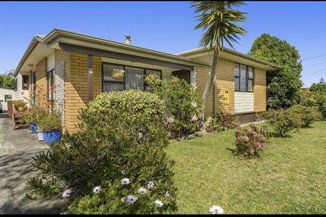 Photo of property in 59 Windsor Road, Bellevue, Tauranga, 3110