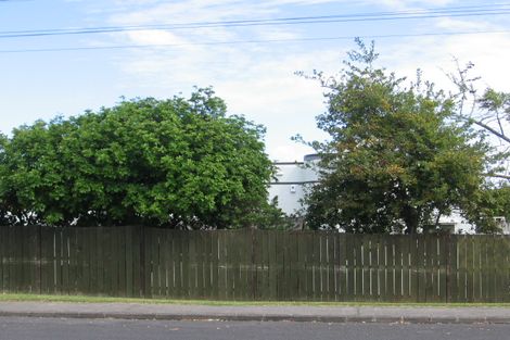 Photo of property in 14 Norcross Avenue, Henderson, Auckland, 0612