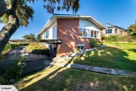 Photo of property in 53 Mailer Street, Mornington, Dunedin, 9011