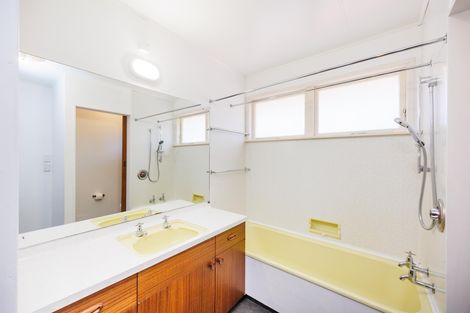 Photo of property in 50 Windsor Street, Terrace End, Palmerston North, 4410