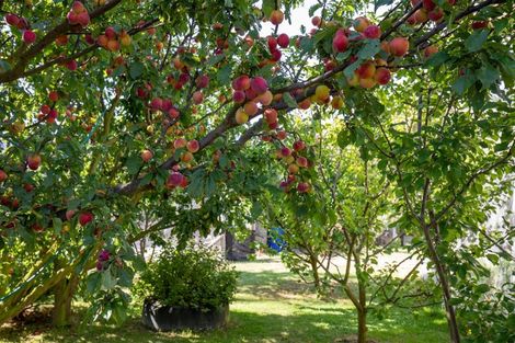 Photo of property in 3727 Fruitlands-roxburgh Road, Roxburgh, 9571