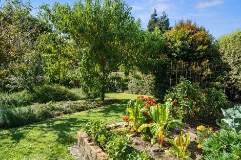 Photo of property in 13 Norrie Place, Putaruru, 3411