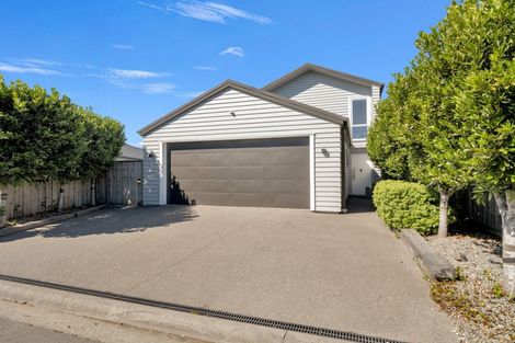 Photo of property in 19 Tangiwai Street, Pegasus, 7612