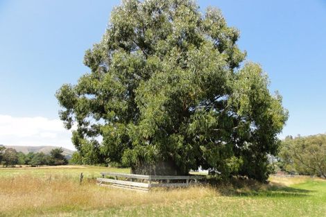 Photo of property in 56 Mina Road, Cheviot, 7382