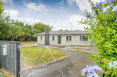 Photo of property in 149 North Street, Feilding, 4702
