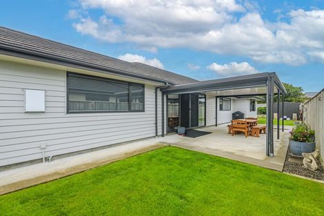 Photo of property in 42 Nancy Avenue, Feilding, 4702