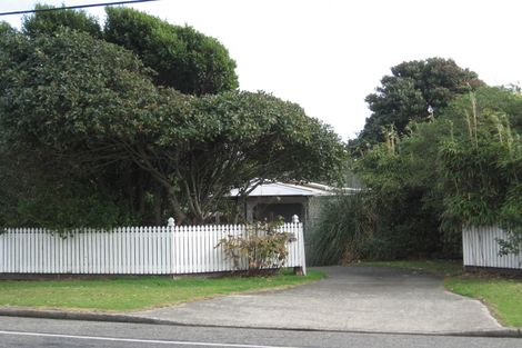 Photo of property in 217 Rosetta Road, Raumati South, Paraparaumu, 5032