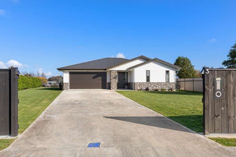 Photo of property in 3 George Street, Bulls, 4818