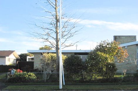 Photo of property in 14 Winstone Avenue, Chartwell, Hamilton, 3210