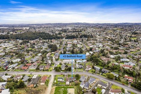 Photo of property in 43 Bellfield Road, Opaheke, Papakura, 2113