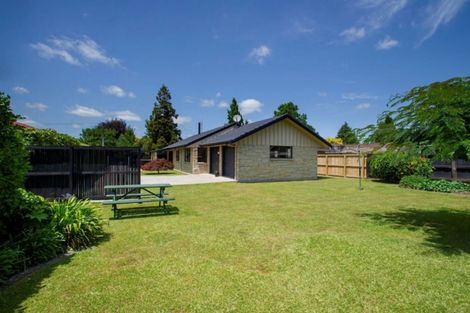 Photo of property in 61 Burwood Road, Matamata, 3400