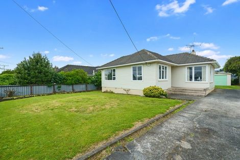 Photo of property in 96 Tiro Tiro Road, Levin, 5510