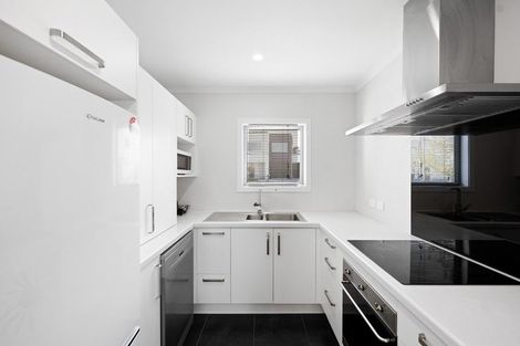 Photo of property in 66 Tennille Street, Flagstaff, Hamilton, 3210