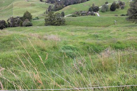 Photo of property in 118 Paparoa Station Road, Paparoa, 0571