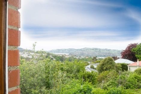 Photo of property in 40a Crosby Street, Mornington, Dunedin, 9011