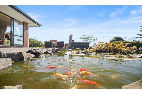 Photo of property in 204c Tram Gully Road, Manukau Heads, Waiuku, 2684