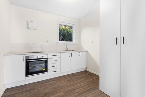 Photo of property in 12 Alexandra Street, Richmond, Christchurch, 8013