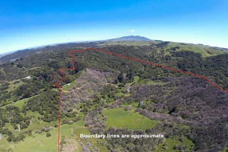 Photo of property in 945 Te Papatapu Road, Raglan, Te Mata, 3894