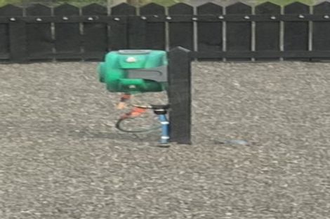 Photo of property in 53 Miro Drive, Murupara, 3025