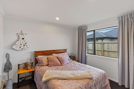 Photo of property in 8 Mcquillan Avenue, Woodend, 7610