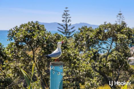 Photo of property in 153 Koutunui Road, Athenree, Katikati, 3177