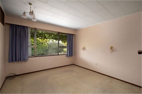 Photo of property in 37 Eureka Street, Alexandra, 9320