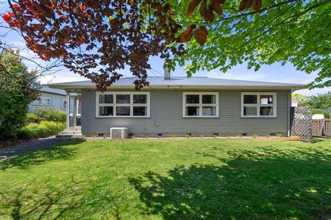 Photo of property in 157 Colombo Road, Masterton, 5810