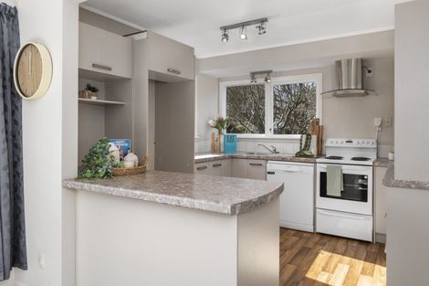 Photo of property in 19 Taipari Street, Maungatapu, Tauranga, 3112