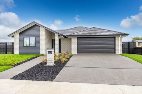 Photo of property in 6 Hoki Avenue, Morrinsville, 3300