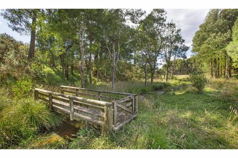 Photo of property in 48 Pond Road, Raglan, 3295