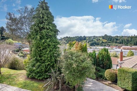 Photo of property in 31 Saint Albans Street, Bradford, Dunedin, 9011