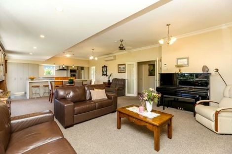 Photo of property in 233b Carrington Street, Vogeltown, New Plymouth, 4310