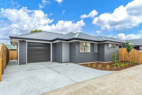 Photo of property in 30b Duke Street, Levin, 5510