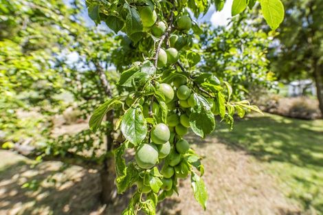 Photo of property in 247 Millers Road, Gebbies Valley, Christchurch, 7672