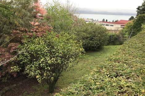 Photo of property in 14 Coleman Terrace, Hospital Hill, Napier, 4110