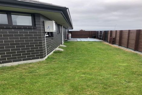 Photo of property in 20 Asheridge Place, Wigram, Christchurch, 8025