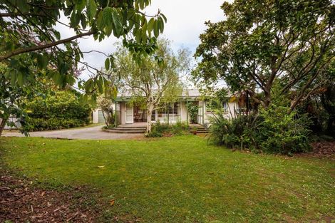 Photo of property in 6 Eton Place, Terrace End, Palmerston North, 4410