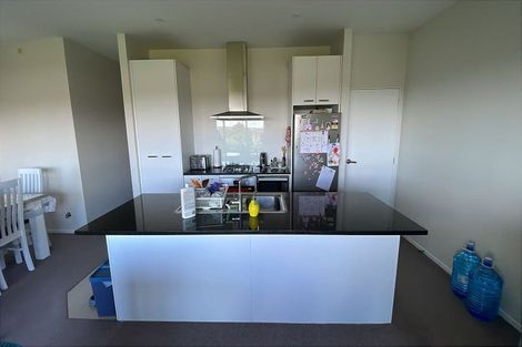 Photo of property in 31 Lemon Tree Lane, Flat Bush, Auckland, 2019