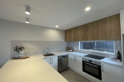 Photo of property in 115b Neville Street, Spreydon, Christchurch, 8024