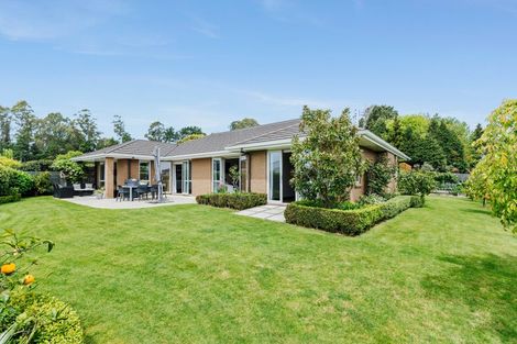 Photo of property in 40 Mervyn Place, Ohauiti, Tauranga, 3112