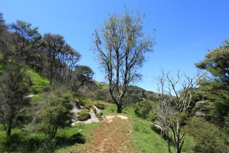 Photo of property in 945 Te Papatapu Road, Raglan, Te Mata, 3894