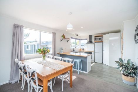 Photo of property in 108 Winchester Street, Ashhurst, 4810