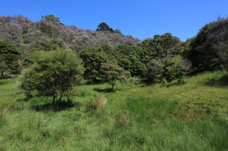 Photo of property in 945 Te Papatapu Road, Raglan, Te Mata, 3894