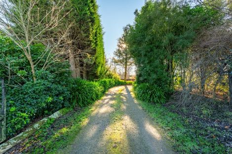 Photo of property in 17 Sherratt Road, Geraldine Downs, Geraldine, 7991