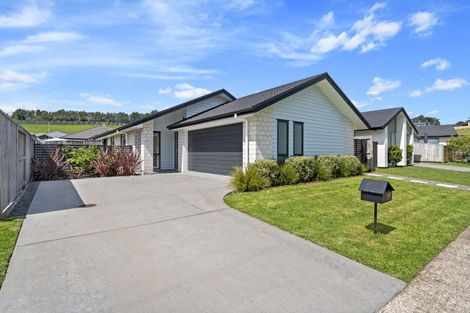 Photo of property in 110 Whakaturou Crescent, Pyes Pa, Tauranga, 3112