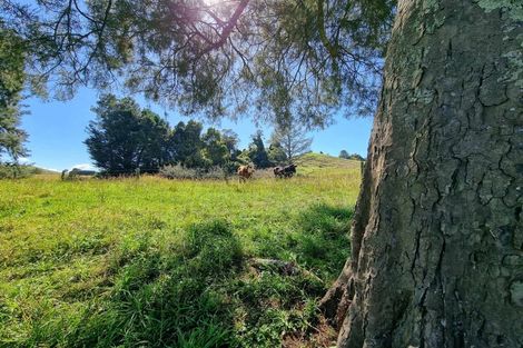 Photo of property in 584b State Highway 3, Waitomo, Te Kuiti, 3977