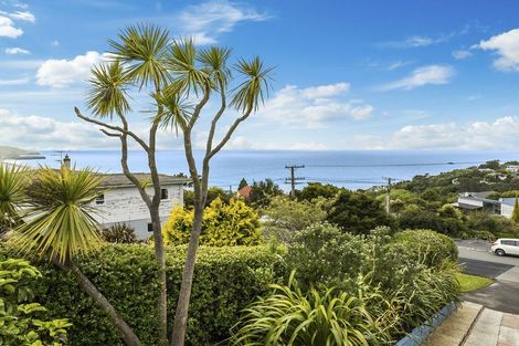 Photo of property in 44 Aberdeen Road, Saint Clair, Dunedin, 9012